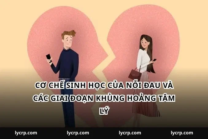 Cơ chế sinh học của nỗi đau và các giai đoạn khủng hoảng tâm lý