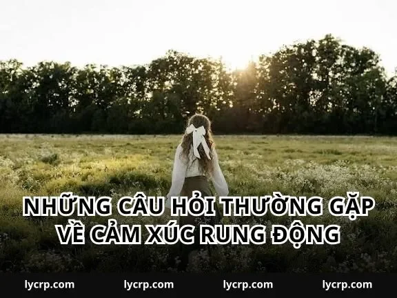 Những câu hỏi thường gặp về cảm xúc rung động