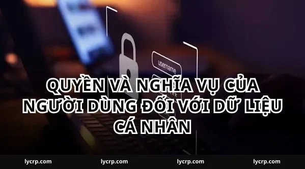 Quyền Và Nghĩa Vụ Của Người Dùng Đối Với Dữ Liệu Cá Nhân